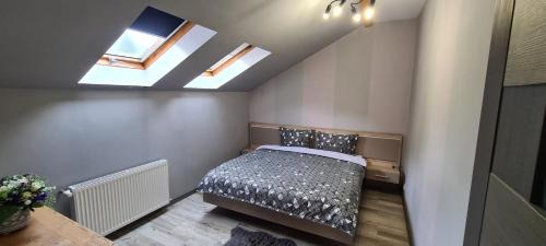 Petrosani Apartment | Comfort Home Apartment 3
