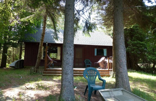 Manistee Cabin | Comfort in Natural Surroundings