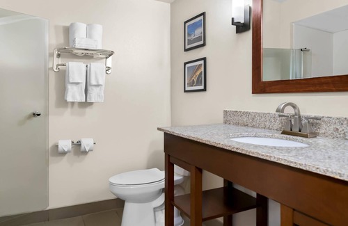 Taylor Hotel | Comfort Inn and Suites Taylor