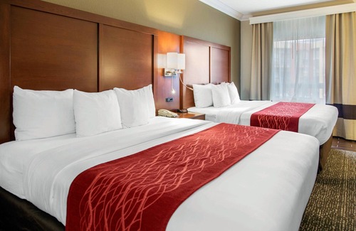 The East Side Hotel | Comfort Inn and Suites San Francisco Airport North