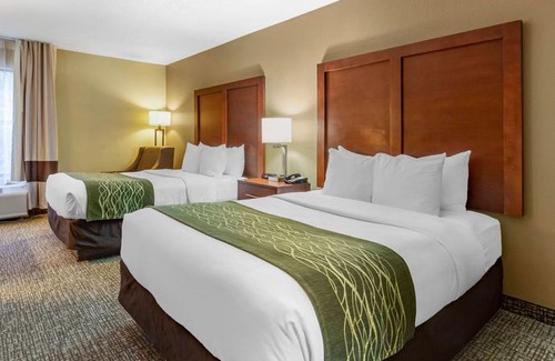 Apex Hotel | Comfort Inn Apex