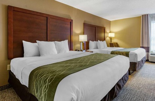 Apex Hotel | Comfort Inn Apex