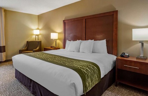 Apex Hotel | Comfort Inn Apex