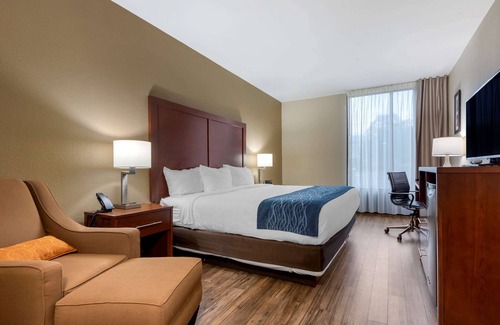 Binghamton Hotel | Comfort Inn Binghamton I-81