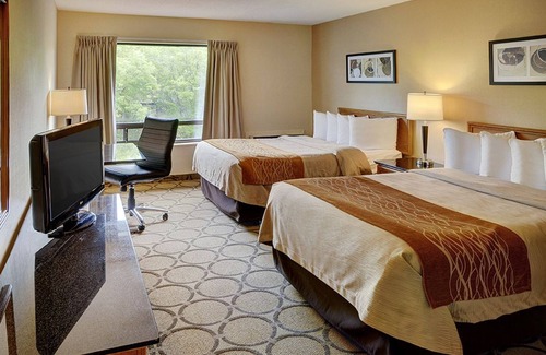 Campbellton Hotel | Comfort Inn