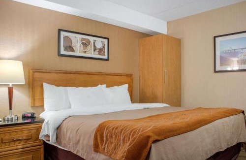 Charlottetown Hotel | Comfort Inn