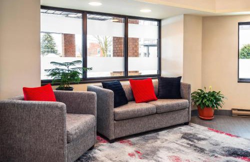 Corner Brook Hotel | Comfort Inn