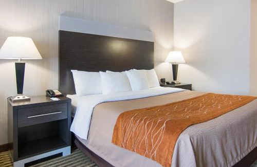 Camden Hotel | Comfort Inn Camden