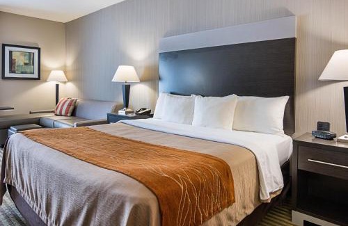 Camden Hotel | Comfort Inn Camden