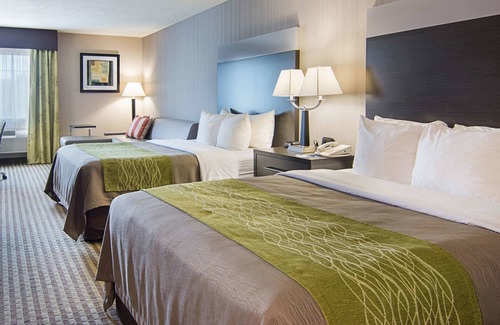 Camden Hotel | Comfort Inn Camden