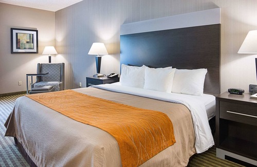 Camden Hotel | Comfort Inn Camden