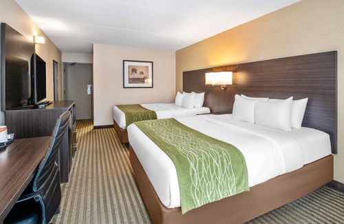 Chatham-Kent Hotel | Comfort Inn Chatham