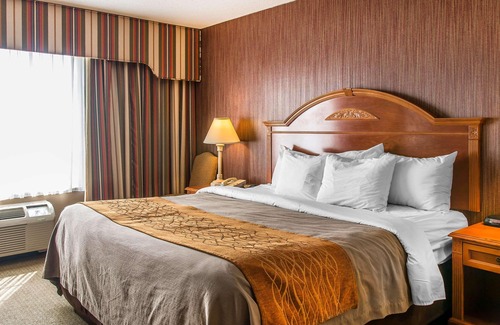 Chelsea Hotel | Comfort Inn Chelsea