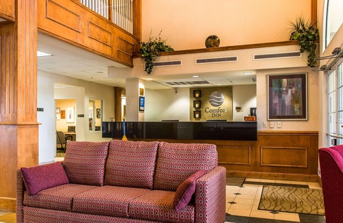 Chelsea Hotel | Comfort Inn Chelsea