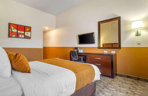 Chihuahua Hotel | Comfort Inn Chihuahua
