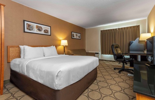 Cobourg Hotel | Comfort Inn Cobourg