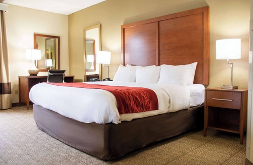 Dickson Hotel | Comfort Inn Dickson