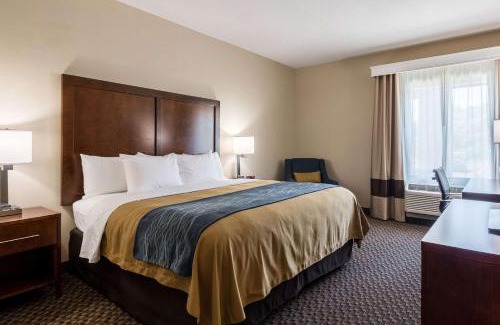 Mitchell Hotel | Comfort Inn Edwardsville - St Louis