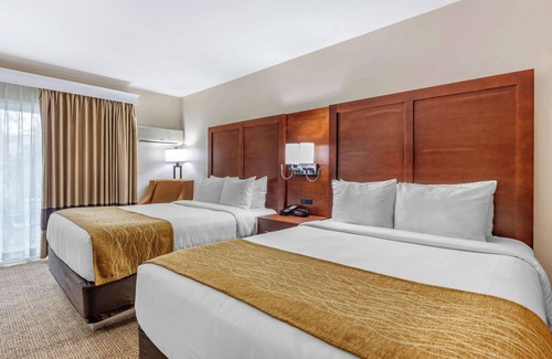 Escondido Hotel | Comfort Inn Escondido San Diego North County