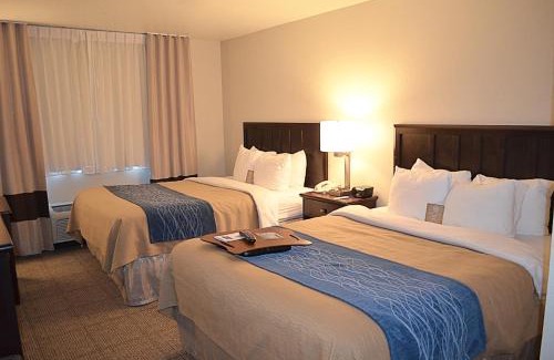 Fairfield Hotel | Comfort Inn Fairfield Napa Valley Area