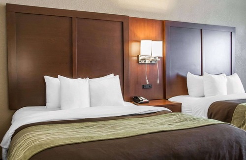 Fergus Falls Hotel | Comfort Inn Fergus Falls