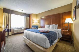 Grand Junction Hotel | Comfort Inn Grand Junction I-70