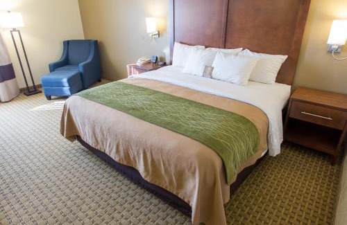 Hammond Hotel | Comfort Inn Hammond