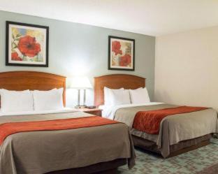 Hastings Hotel | Comfort Inn Hastings