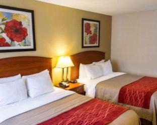 Hastings Hotel | Comfort Inn Hastings