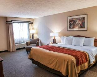 Indianapolis Hotel | Comfort Inn Indianapolis South I-65
