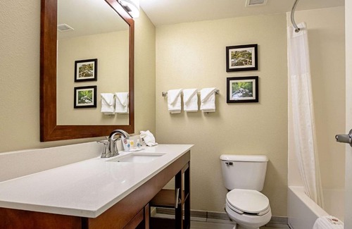 Indianapolis Hotel | Comfort Inn Indianapolis North - Carmel