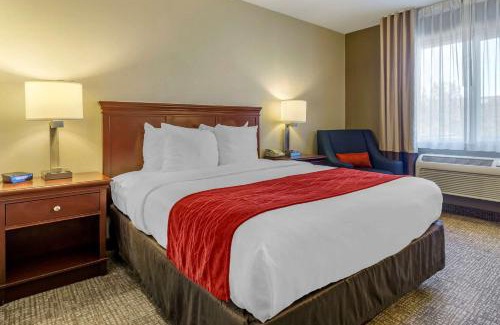 Tri-Cities Hotel | Comfort Inn Kennewick Richland