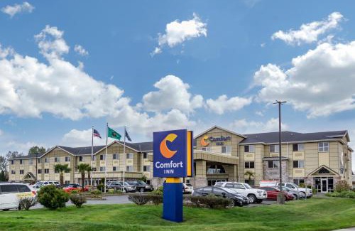 Kent Hotel | Comfort Inn Kent - Seattle