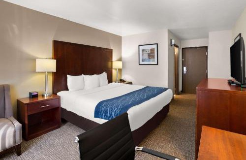 Lacey Hotel | Comfort Inn Lacey - Olympia
