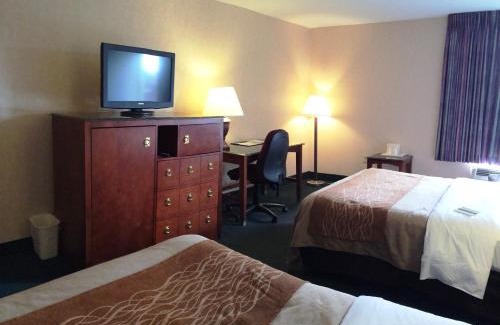 Lexington Hotel | Comfort Inn Lexington Virginia Horse Center