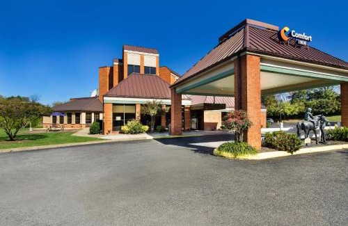 Lexington Hotel | Comfort Inn Lexington Virginia Horse Center