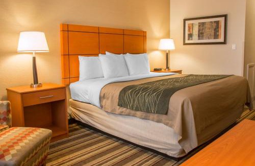 Romulus Hotel | Comfort Inn Metro Airport