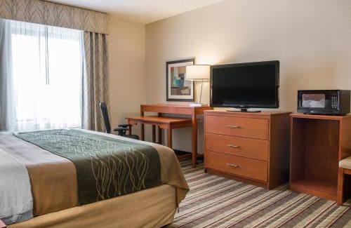 Romulus Hotel | Comfort Inn Metro Airport