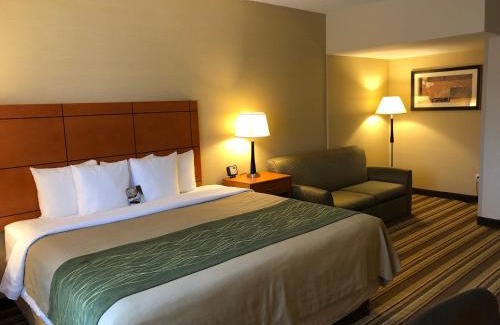 Romulus Hotel | Comfort Inn Metro Airport