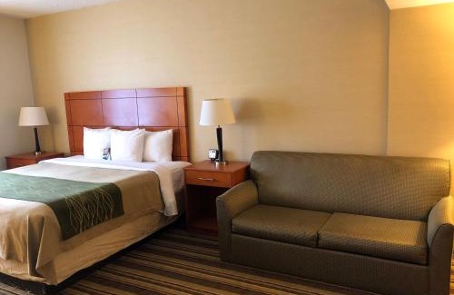 Romulus Hotel | Comfort Inn Metro Airport