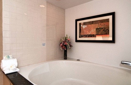 Romulus Hotel | Comfort Inn Metro Airport