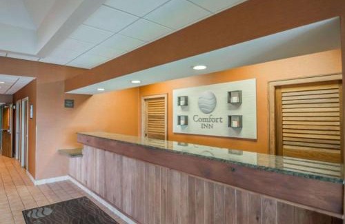 Lindbergh Lawns Hotel | Comfort Inn - NYS Fairgrounds