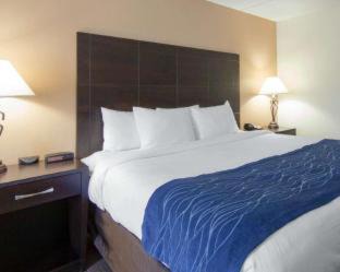 Oak Ridge Hotel | Comfort Inn Oak Ridge - Knoxville