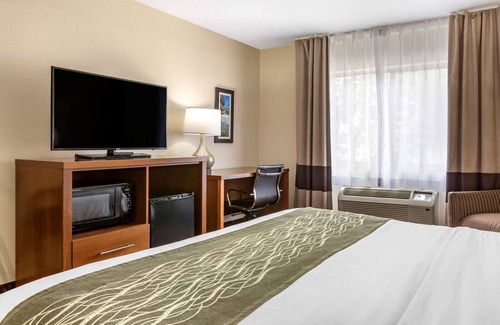 Okemos Hotel | Comfort Inn Okemos - East Lansing
