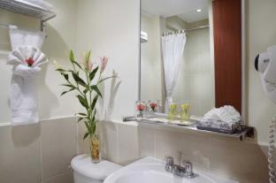 San Miguel Hotel | Comfort Inn Real San Miguel