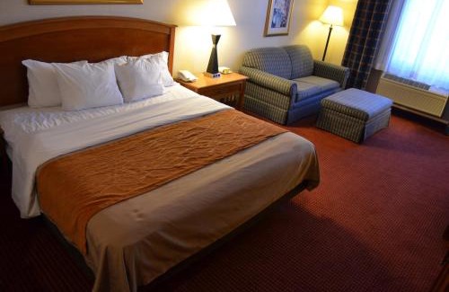 Truth or Consequences Hotel | Comfort Inn & Suites I-25 near Spaceport America