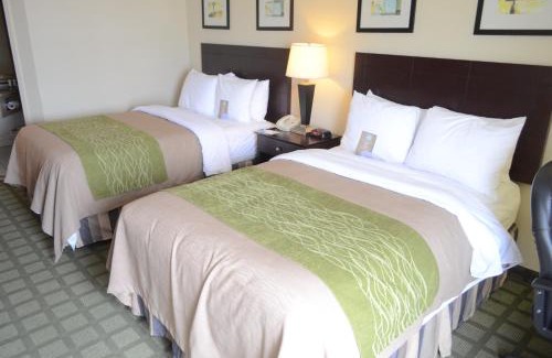 Sharpstown Hotel | Comfort Inn Southwest Fwy at Westpark