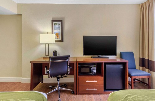 St. Petersburg - Clearwater Hotel | Comfort Inn St Petersburg North