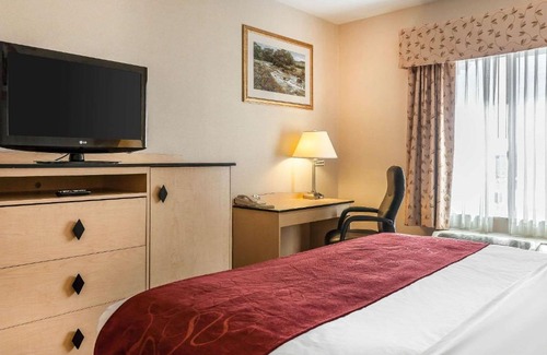 Reno Hotel | Comfort Inn & Suites Airport Convention Center
