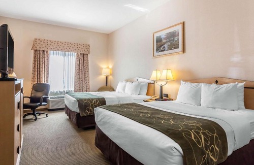 Reno Hotel | Comfort Inn & Suites Airport Convention Center